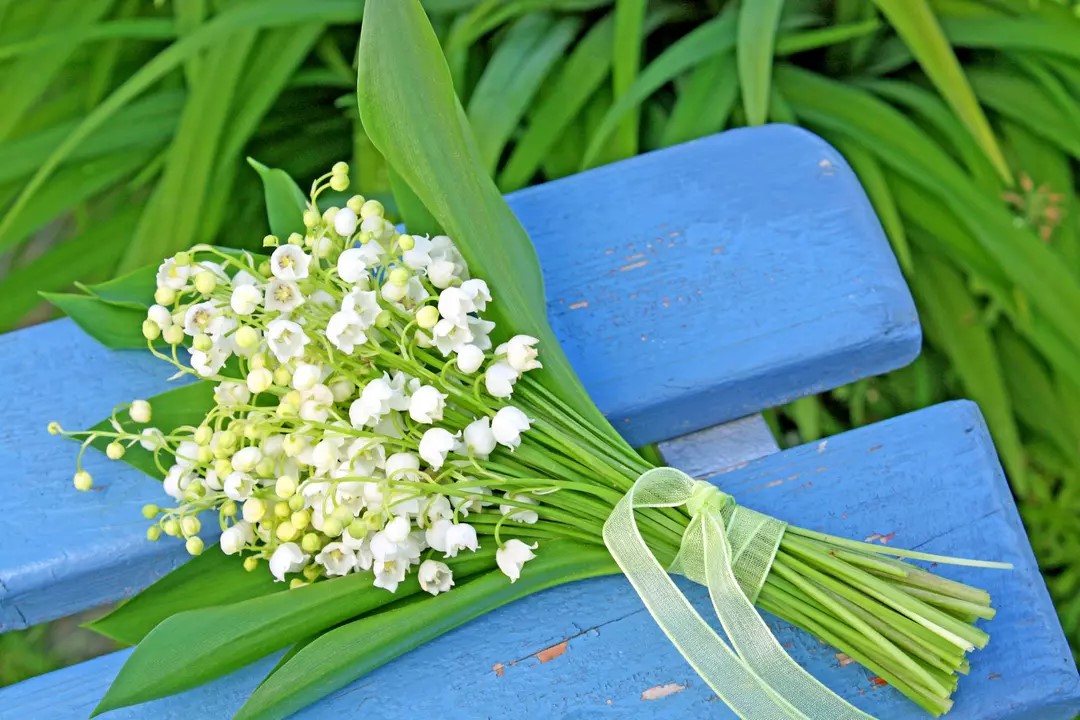 muguet2.jpg